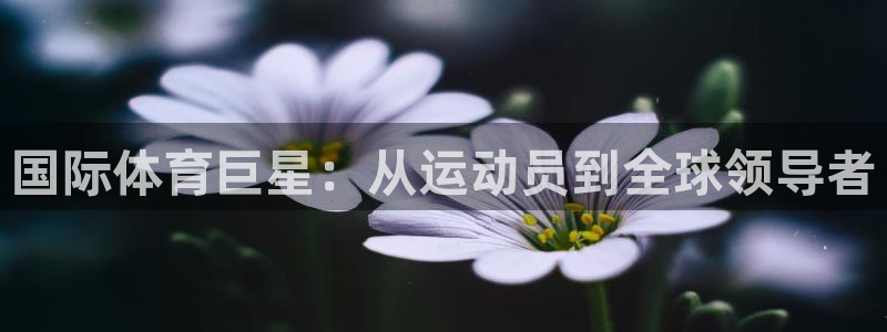 betway西汉姆