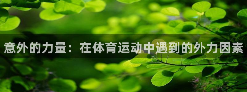 betway西汉姆官网