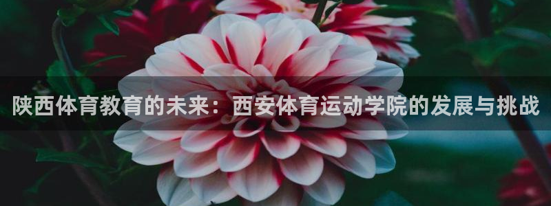 betway西汉姆联官网