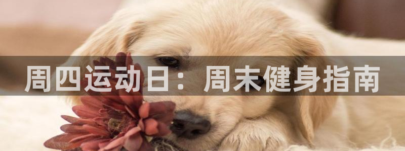 betway西汉姆