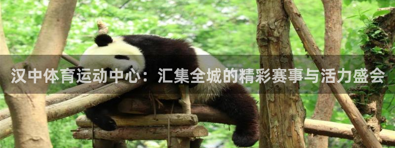 betway西汉姆官网